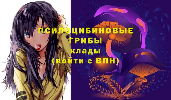 МДПВ Алзамай